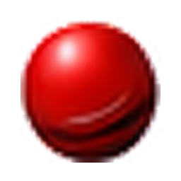 T20 Leather Ball Cricket